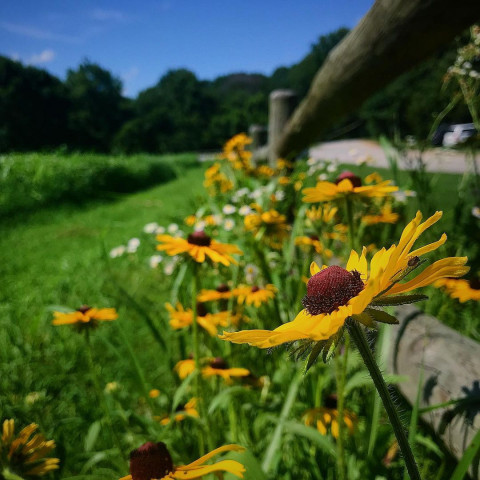 Park Photo  (170083)
