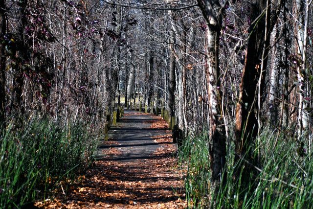 Park Photo  (162537)