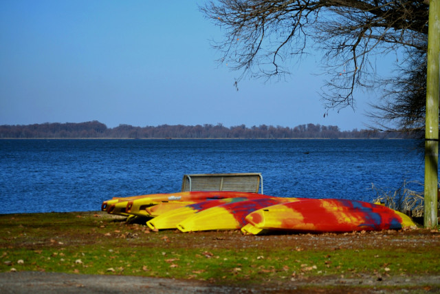 Park Photo  (162530)