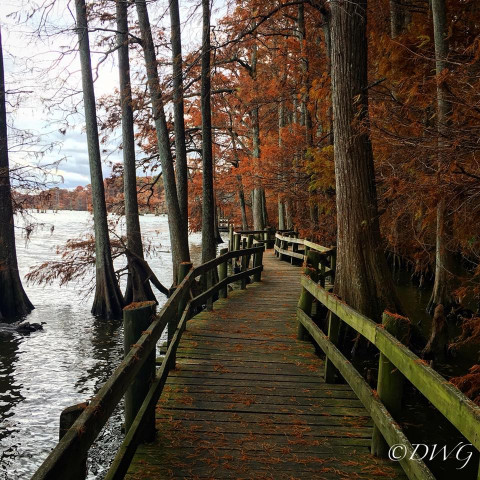 Park Photo  (162528)