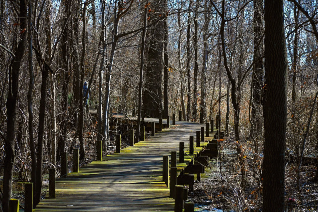 Park Photo  (162536)