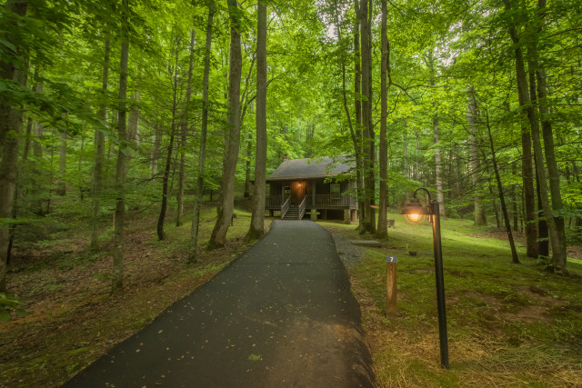 Park Photo  (163409)
