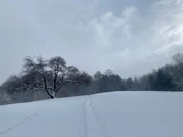 Park Photo  (163412)