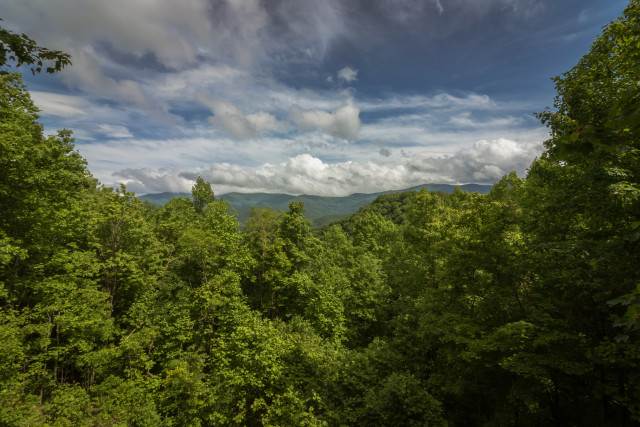 Park Photo  (163413)