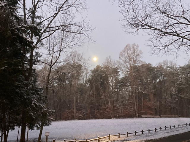 Park Photo  (183257)