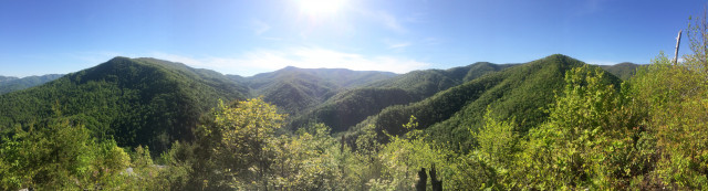 Park Photo  (169455)