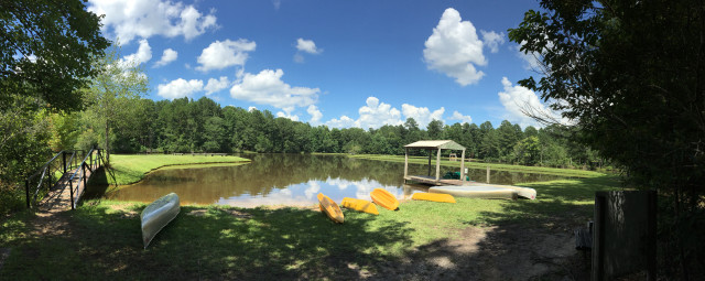 Agency Photo  (155188)