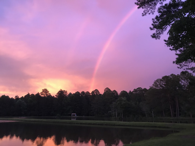 Agency Photo  (155183)