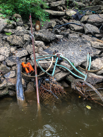 Agency Photo  (158485)