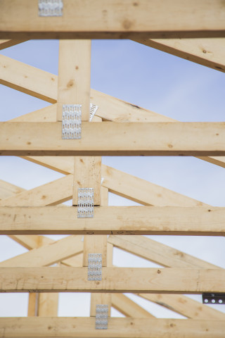 Agency Photo  (157579)