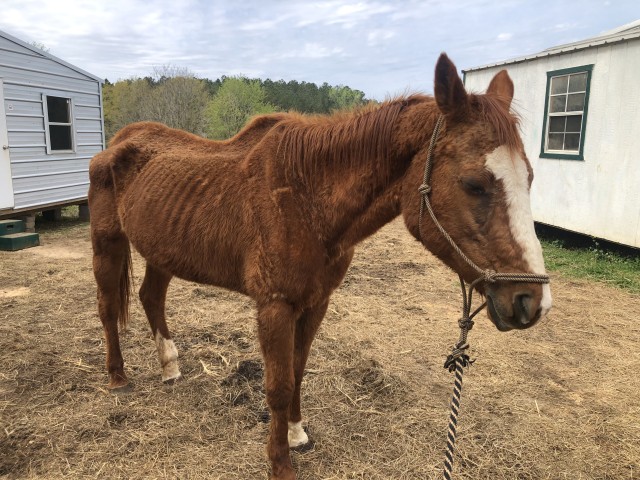 Agency Photo  (191129)