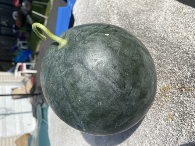 Agency Photo  (166385)