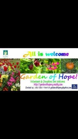 Agency Photo  (145762)