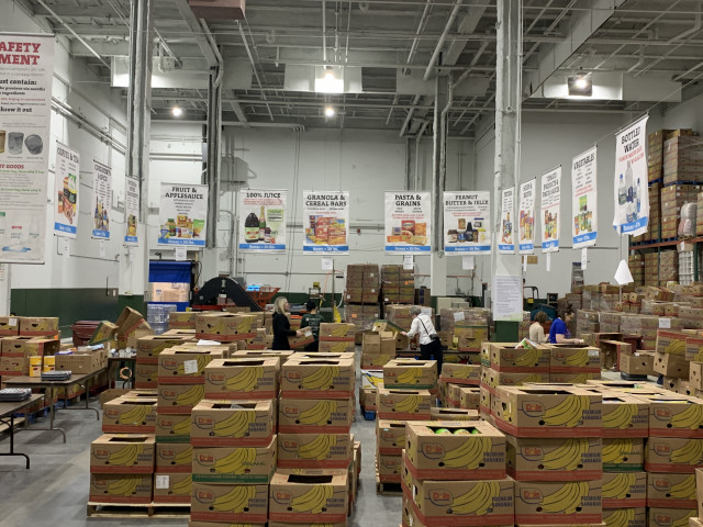 Agency Photo  (149236)