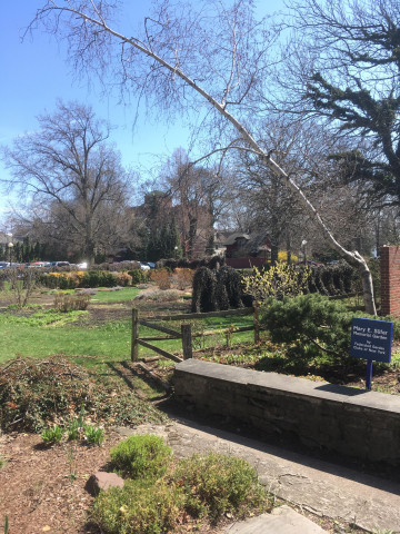 Agency Photo  (165562)