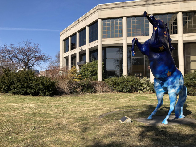 Agency Photo  (165561)