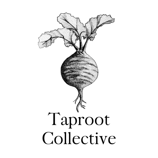 Agency Logo