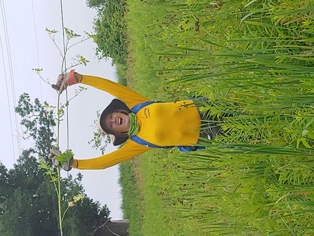 Agency Photo  (147612)