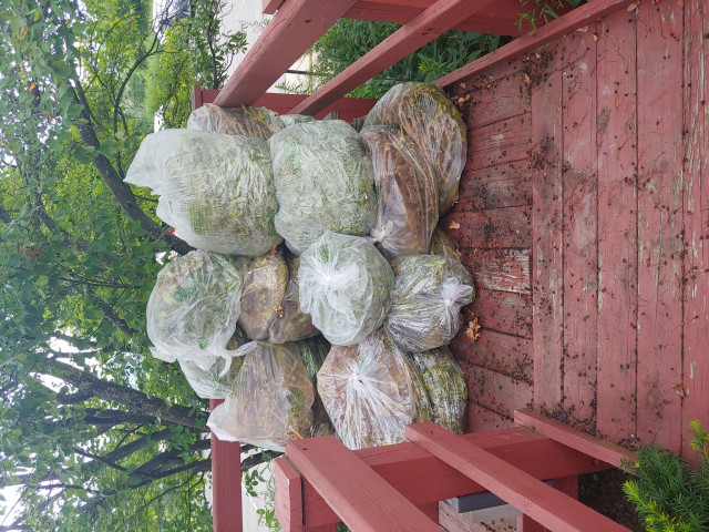 Agency Photo  (147611)