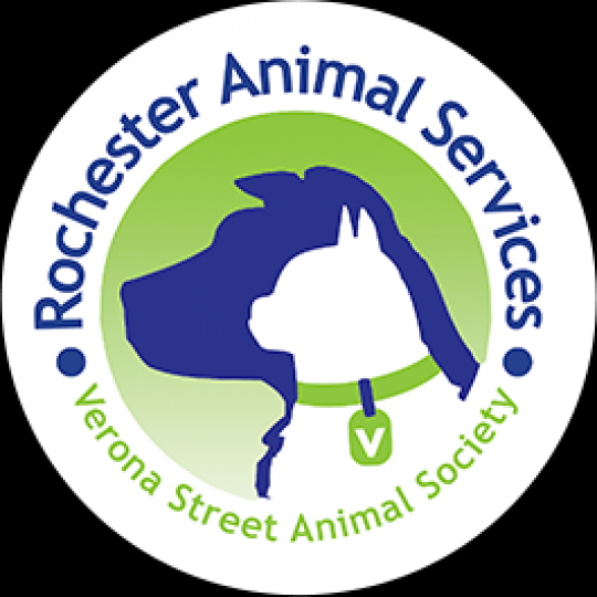 Agency Logo