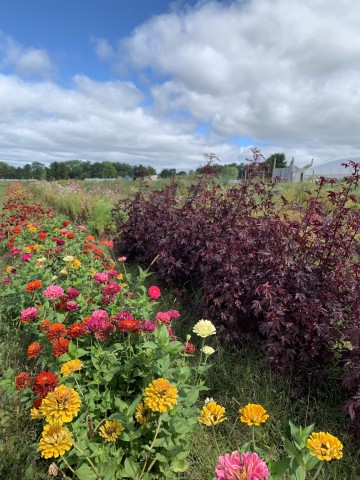 Agency Photo  (207212)