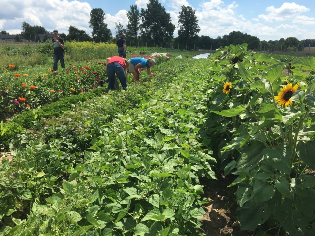 Agency Photo  (207208)