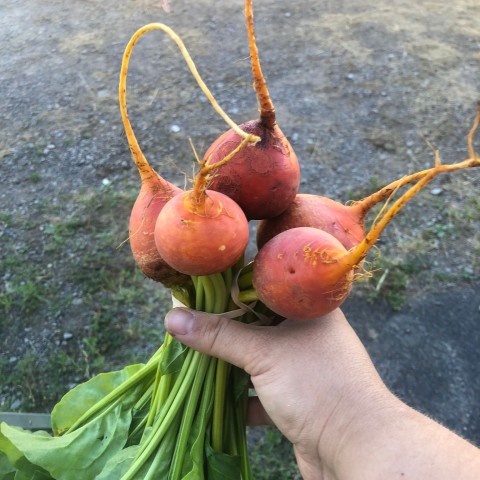 Agency Photo  (207210)