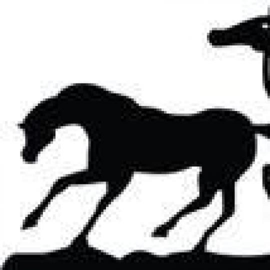 Agency Logo
