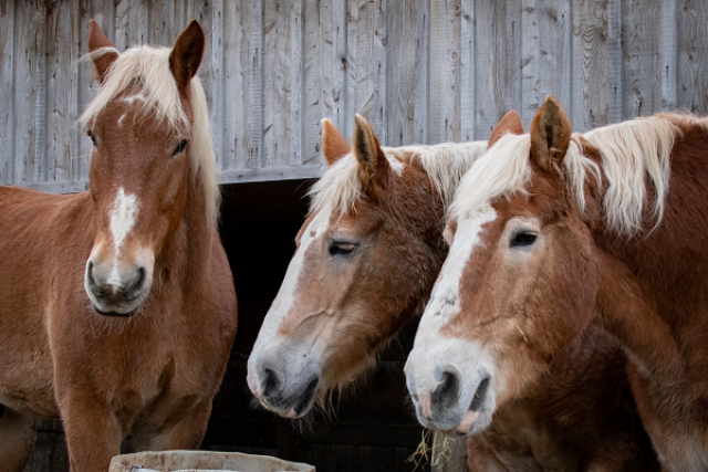 Agency Photo  (184957)