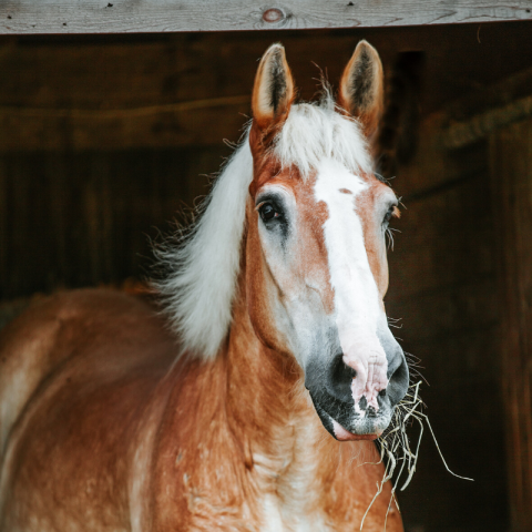 Agency Photo  (184956)