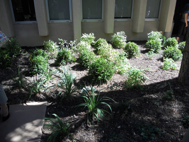Location Photo  (159969)