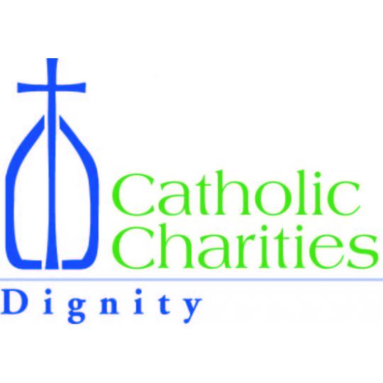 Organization Logo