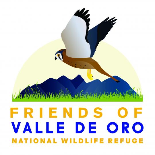 Organization Logo