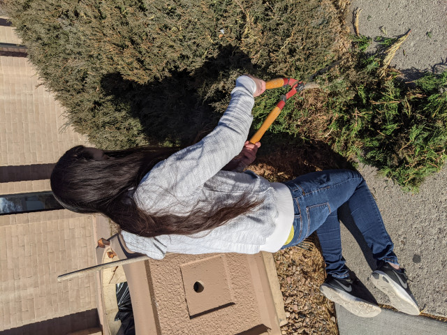 Organization Photo  (163264)