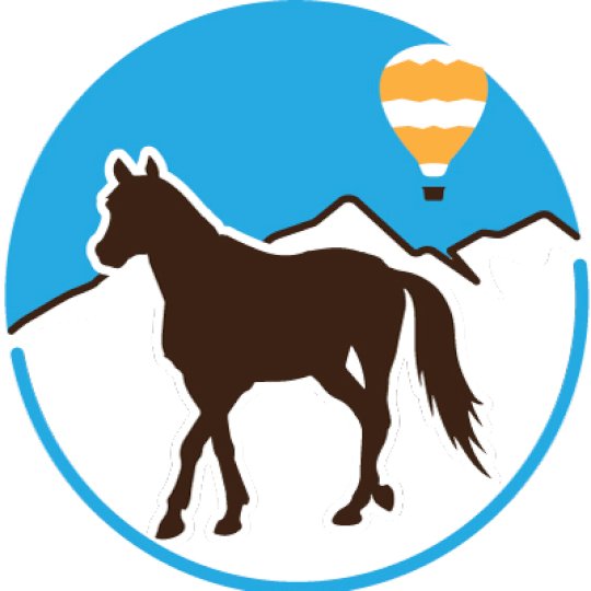 Organization Logo