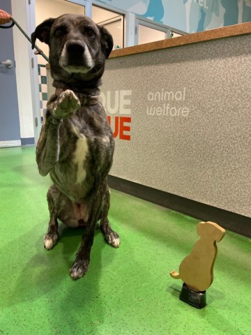 Organization Photo  (207082)