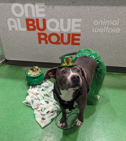 Organization Photo  (207084)