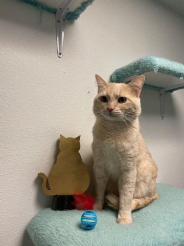 Organization Photo  (207083)