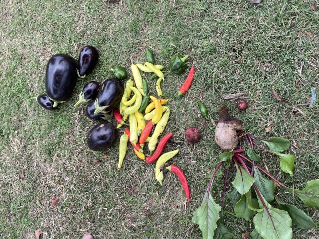 Program Photo  (178908)