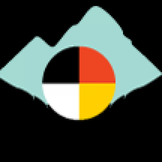 Program Partner Logo