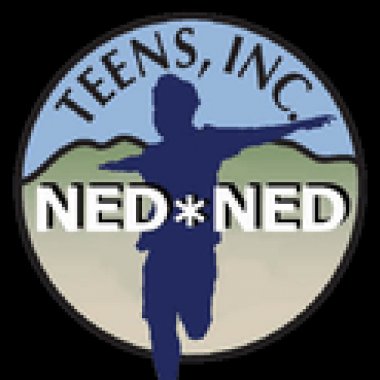 Program Partner Logo