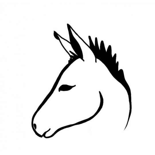 Program Partner Logo