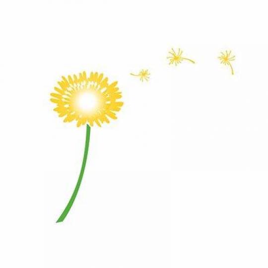 Program Partner Logo