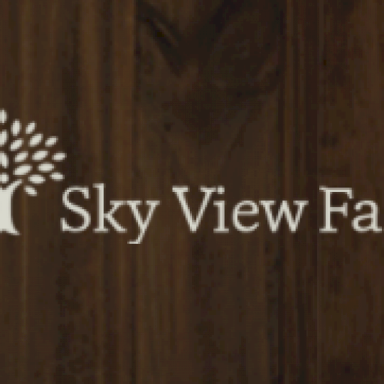Program Partner Logo