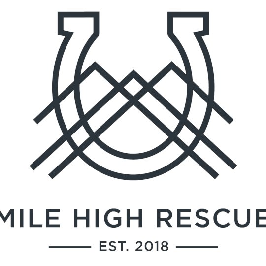 Program Partner Logo