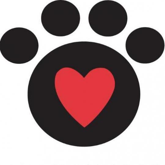 Program Logo
