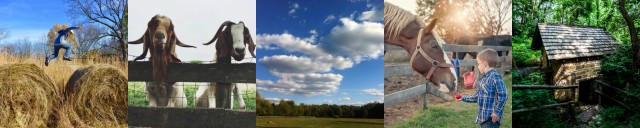 Agency Photo  (187736)