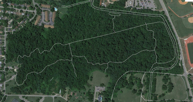 Agency Photo  (157770)