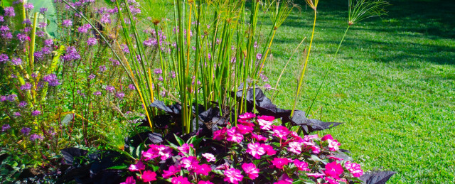 Agency Photo  (157538)