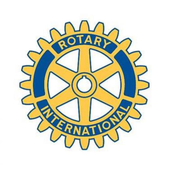 Organization Logo
